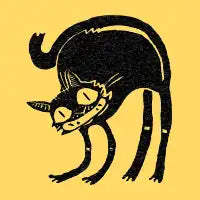 Black Cat - design