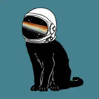 Cats In Space - Rainbow version - design