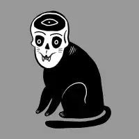 Skull Cat - design
