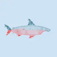Killer Surf - design