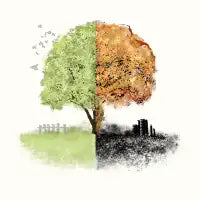 Utopia/Dystopia - design