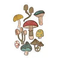 mushrooms - design