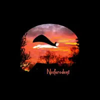 Nosferodent - design