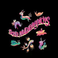 Send Nudibranchs - design