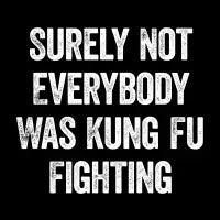 Surely Not Everybody Was Kung Fu Fighting - design