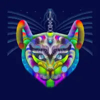 Messenger - design