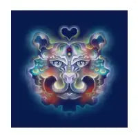 Protector - design