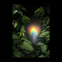 Rainbow Seed Magical Trippy Cosmic Art Psychedelic Jungle Magical Nature - design