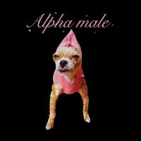 Alpha Male - design