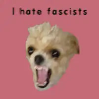 I Hate Fascists - design