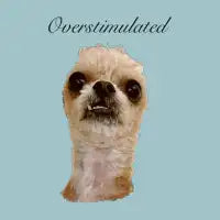 Overstimulated - design
