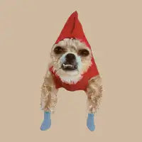 Spud 2 - design