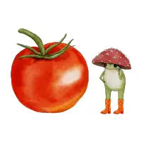 Tomato - design