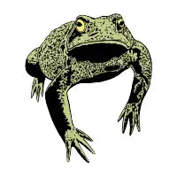 Hanging Toad - design