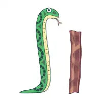 Snake'N'Bacon - design