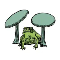 Two Toadstools - design