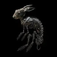 SPRING HARE - design