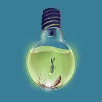Deep Light - design