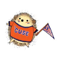 Syracuse Hedgehog - design