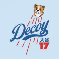 Decoy - design