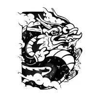 Slay Dragon T-Shirt - design