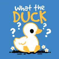 What the duck wtf - design