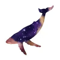 Galaxy Humpback Whale - design