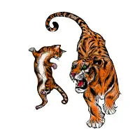 Cat vs. Tiger - design