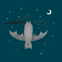 Bat - design