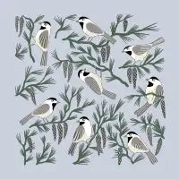 Black Capped Chickadee and Pine Branches - design