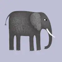 Elephant - design