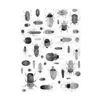Ink Beetles - design