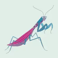 Praying Mantis Green - design