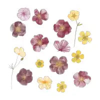 Pressed Flowers - design