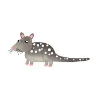 Quoll - design