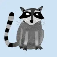 Raccoon - design