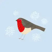 Robin - design