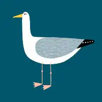 Seagull - design