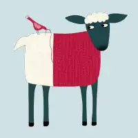 Sheepish - design