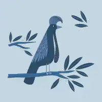 Umbrellabird - design