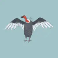 Vulture - design