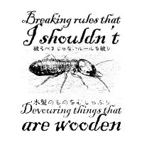 Breaking rules that I shouldn't Termite - design