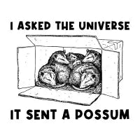 I Asked The Universe It Sent A Possum - Funny Opossum - design