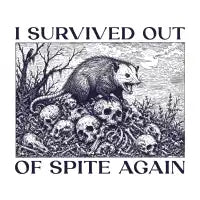 I Survived Out Of Spite Again - design