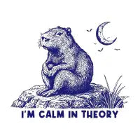 I’M CALM IN THEORY - design
