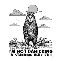 I’m not panicking, I’m standing very still - design