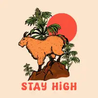 Stay High - design