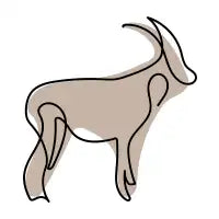 Capricorn - design
