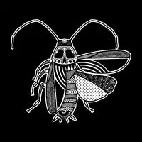 Cockroach - design