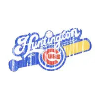 Huntington Cubs - design
